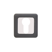 Накладка для ц/м АЛЛЮР АРТ ET-S1 MBN/CP(4242) графит/хром (100,10)